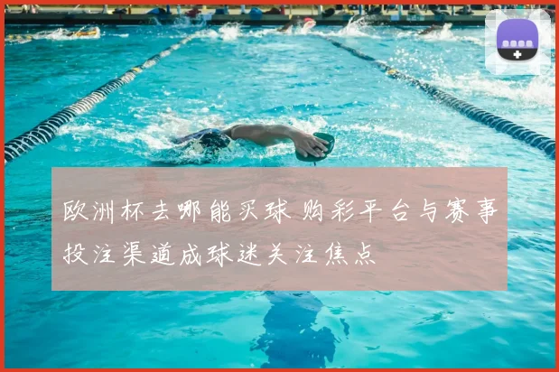 欧洲杯去哪能买球 购彩平台与赛事投注渠道成球迷关注焦点