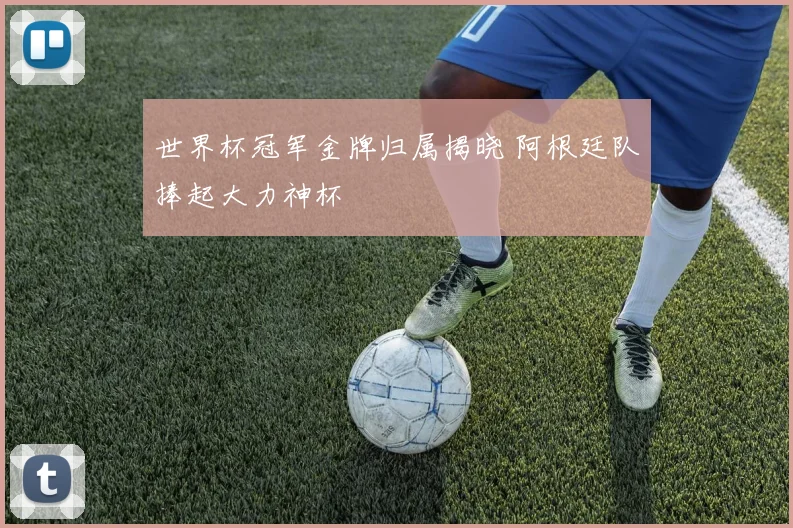 世界杯冠军金牌归属揭晓 阿根廷队捧起大力神杯