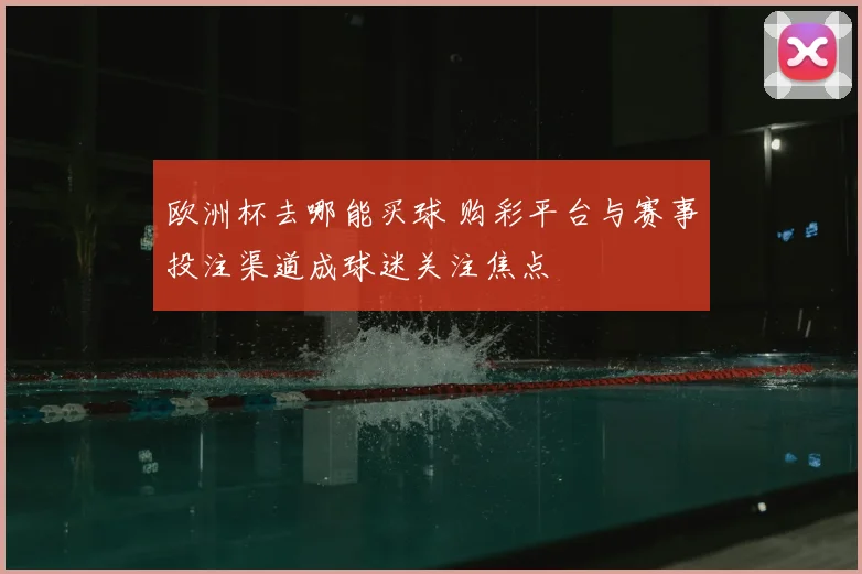 欧洲杯去哪能买球 购彩平台与赛事投注渠道成球迷关注焦点