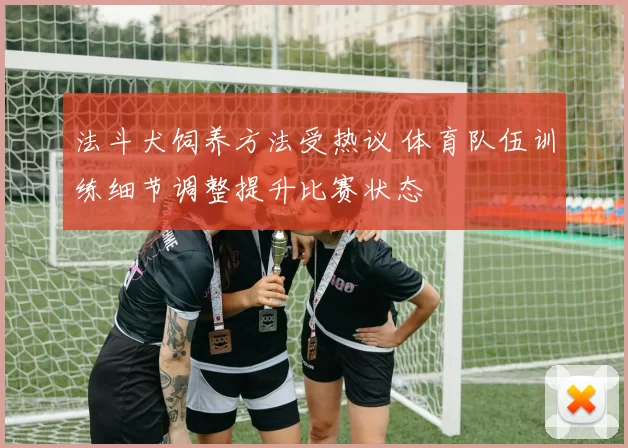 法斗犬饲养方法受热议 体育队伍训练细节调整提升比赛状态