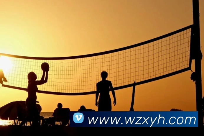 App Interface Preview